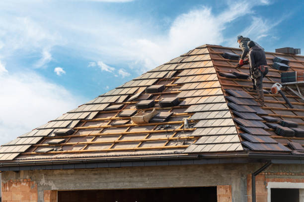 Best Roof Maintenance and Cleaning  in Gumlog, GA